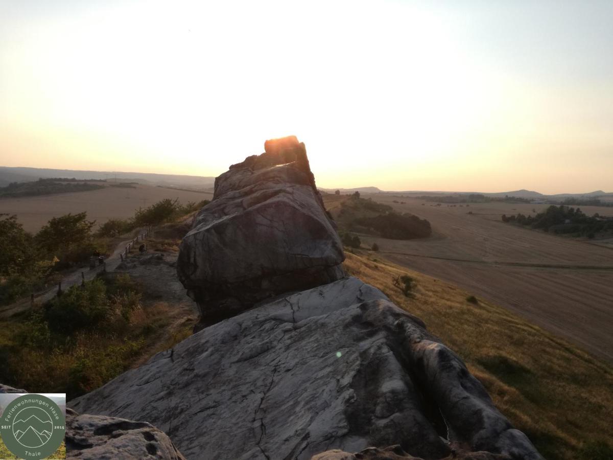 Ferienwohnung Kahlenberg ทาเลอ ภายนอก รูปภาพ